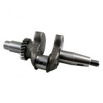 Cigüeñal PARSUN F6-04000100