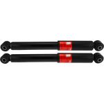 Ammortizzatore TRW JGT458T