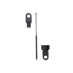 Gasfeder, Koffer-/Laderaum STABILUS STA095125