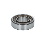 Roulements à rouleaux cylindriques SKF NU 205 ECP /SKF/