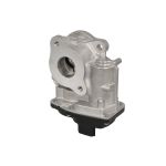 AGR-Ventil DELPHI EG10747-12B1