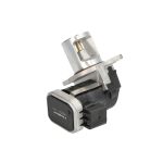 EGR-ventil BORG WARNER 7527D/1