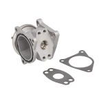 AGR Ventil BORG WARNER 7496D