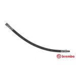Bromsslang BREMBO T 23 081