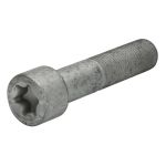 Skruv, bromslamell FEBI BILSTEIN 194272