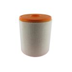 Luftfilter VAICO V10-2280
