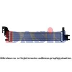 Arrefecedor do motor AKS DASIS 180126N