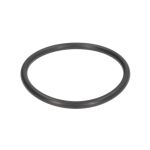 Dichtung O-Ring für Wagenheberzylinder EVERT ZL207101027