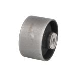 Motorträger DELPHI TEM064