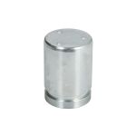 Zuiger, remklauwcilinder AUTOFREN SEINSA D0-25509