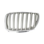 Radiateurgrille BLIC 6502-07-0095997P