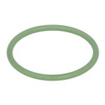 Gummi-O-Rings DT Spare Parts 1.24307