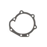 Guarnizione, alloggiamento pompa refrigerante VOLVO PENTA 3884539