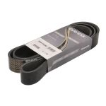 Keilrippenriemen DAYCO 10PK1745HD