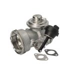 AGR Ventil BORG WARNER 7649D
