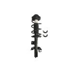 Amortisseur de chocs EVOLUTION VJEE001L