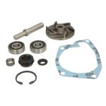 Kit di riparazione, pompa dell'acqua OMP 252.175