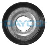 Puleggia di deviazione/guida, cinghia Poly-V DAYCO APV4450