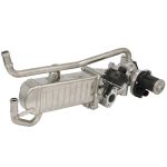 Módulo EGR WAHLER 710862D/1