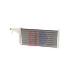 Kachelradiateur, interieurverwarming AKS DASIS 409090N