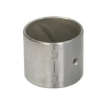 Casquilho da cabeça da manivela FP DIESEL R123960-FP