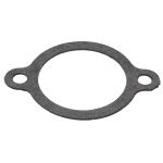 Thermostat-Dichtung QUICKSILVER 8M0079167