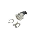 EGR-klep NRF 48713