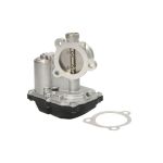 EGR-klep DELPHI EG10489-12B1
