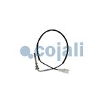 Uitlaatgastemperatuursensor COJALI 2262018