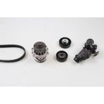 Waterpomp + V-riemset HEPU PK04720TH
