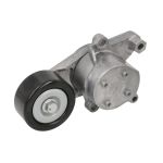 Riemspanner, Poly V-riem SKF VKM 61106