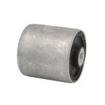 Rolamento, guiador DELPHI TD1638W