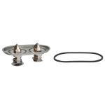 Thermostat, Kühlmittel CALORSTAT BY VERNET TH7379.80.87J