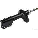 Amortisseur HERTH+BUSS ELPARTS J4310502