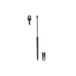 Gasfeder, Koffer-/Laderaum STABILUS STA082686