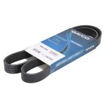 Courroie trapézoïdale à nervures DAYCO 6PK1139H