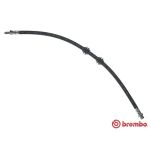 Tubo flessibile del freno BREMBO T 44 033