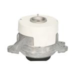 Supporto motore REINHOCH RH11-3169