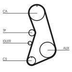 Set di cinghie di distribuzione CONTINENTAL CT919K1