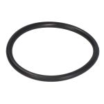 Thermostat O-Ring PARSUN F25-05000011