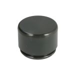 Zuiger, remklauwcilinder AUTOFREN SEINSA D0-25503