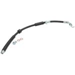 Bremsschlauch DELPHI LH8021