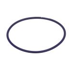 Dichtring IPD PARTS 2006410-IPD