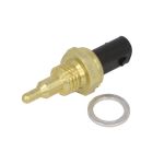 Temperatuursensor DELPHI TS10629-12B1