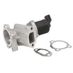 AGR Ventil BORG WARNER 710949D