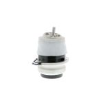 Cuscinetti, motore VAICO V10-2331