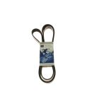 Flerspårsrem DT SPARE PARTS 5.41543