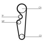 Set di cinghie di distribuzione CONTINENTAL CT878K1