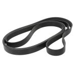 Keilrippenriemen Schaeffler INA FB 8PK3301XD