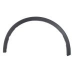 Aile - moulure / protection BLIC 5703-08-8182375Q